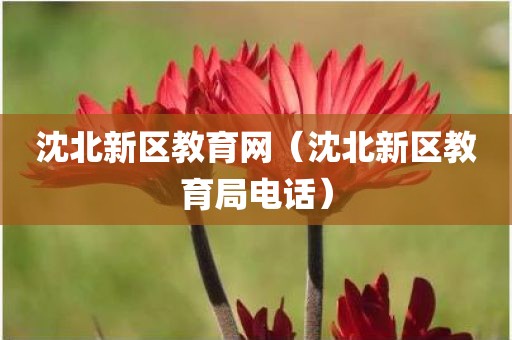 沈北新区教育网（沈北新区教育局电话）