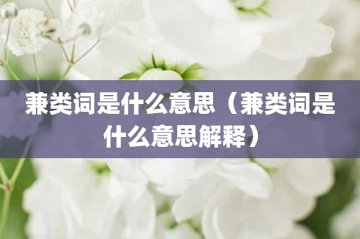 兼类词是什么意思（兼类词是什么意思解释）