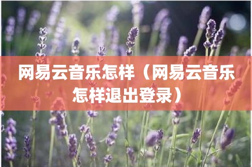 网易云音乐怎样（网易云音乐怎样退出登录）