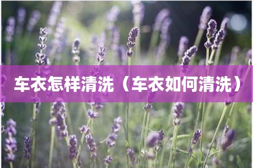 车衣怎样清洗(车衣如何清洗)