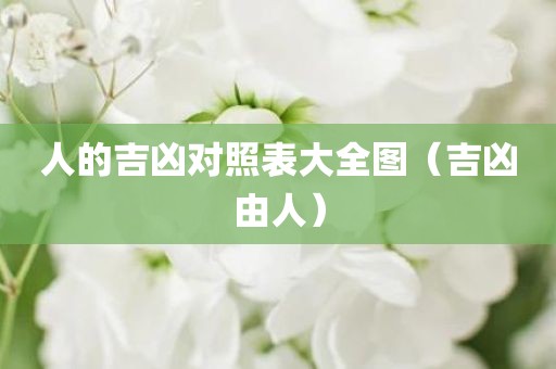 人的吉凶对照表大全图（吉凶由人）