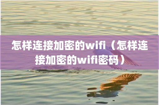 怎样连接加密的wifi（怎样连接加密的wifi密码）