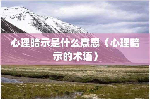 心理暗示是什么意思（心理暗示的术语）
