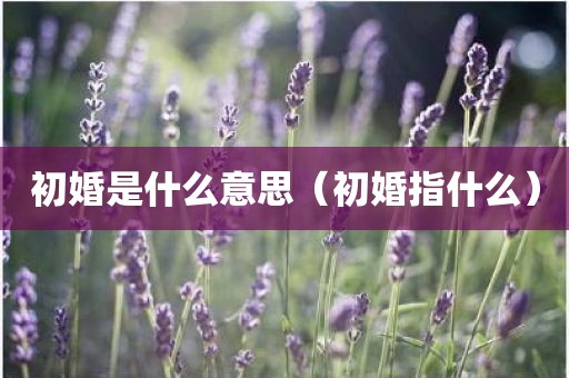初婚是什么意思(初婚指什么)