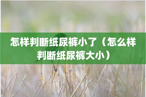 怎样判断纸尿裤小了（怎么样判断纸尿裤大小）