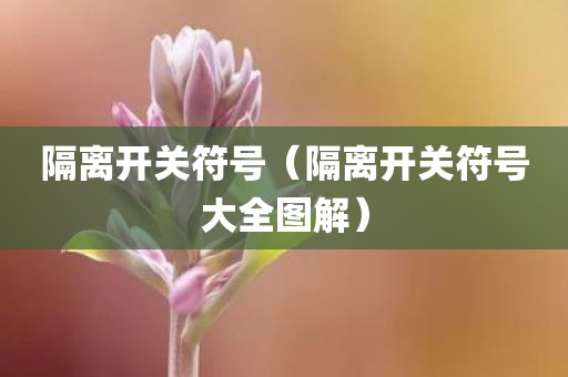 隔离开关符号(隔离开关符号大全图解)