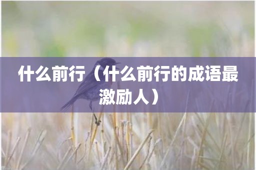 什么前行（什么前行的成语最激励人）