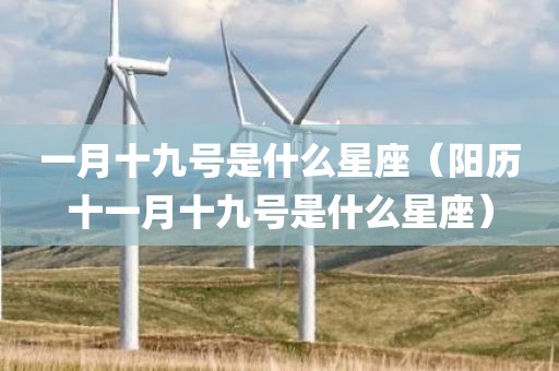 一月十九号是什么星座(阳历十一月十九号是什么星座)