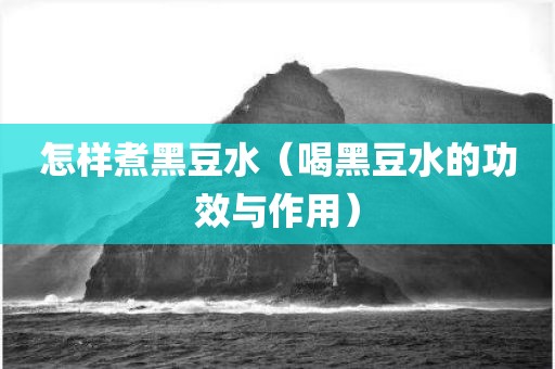 怎样煮黑豆水（喝黑豆水的功效与作用）