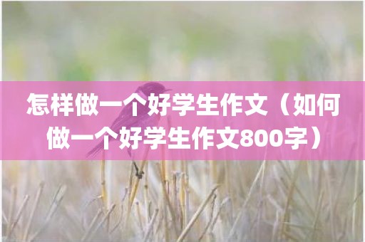 怎样做一个好学生作文（如何做一个好学生作文800字）