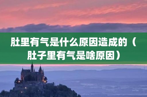 肚里有气是什么原因造成的（肚子里有气是啥原因）
