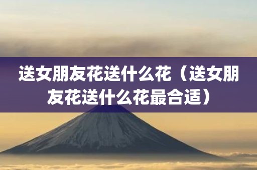 送女朋友花送什么花（送女朋友花送什么花最合适）