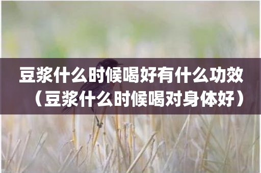 豆浆什么时候喝好有什么功效（豆浆什么时候喝对身体好）