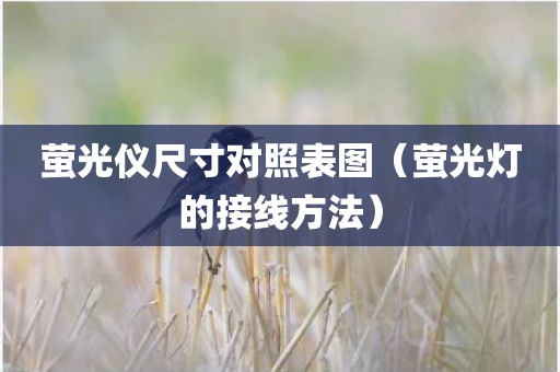 萤光仪尺寸对照表图（萤光灯的接线方法）