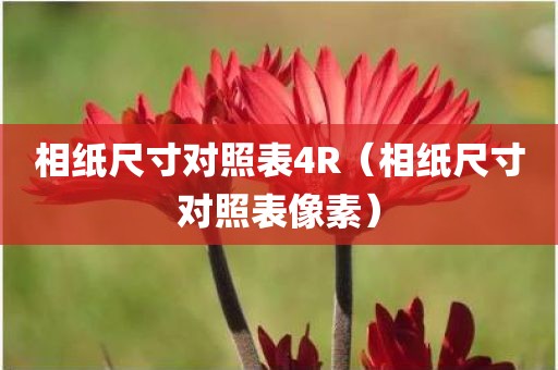 相纸尺寸对照表4R（相纸尺寸对照表像素）