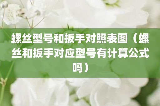 螺丝型号和扳手对照表图（螺丝和扳手对应型号有计算公式吗）