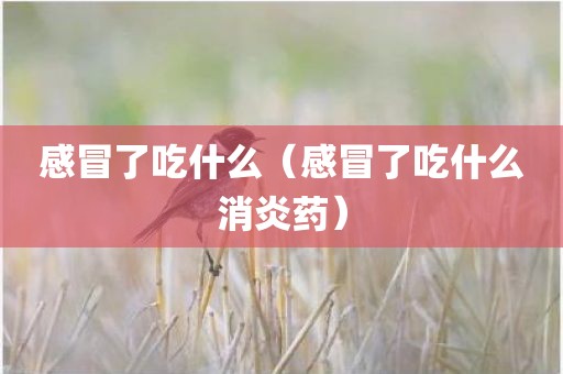 感冒了吃什么（感冒了吃什么消炎药）