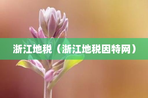 浙江地税（浙江地税因特网）