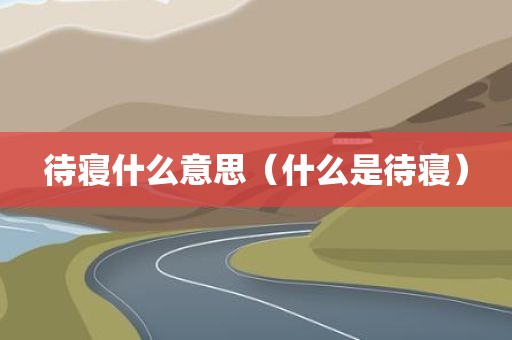 待寝什么意思（什么是待寝）