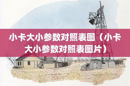 小卡大小参数对照表图（小卡大小参数对照表图片）