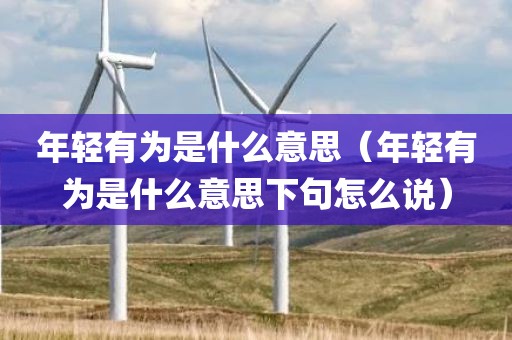 年轻有为是什么意思（年轻有为是什么意思下句怎么说）