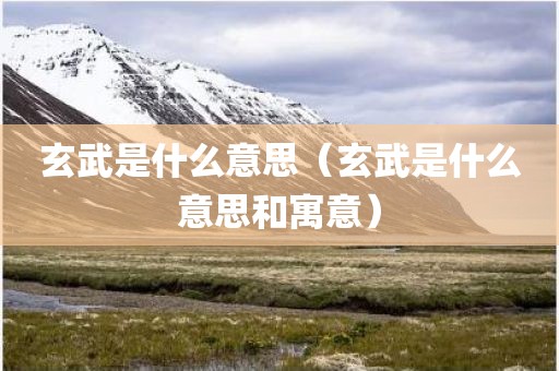 玄武是什么意思（玄武是什么意思和寓意）