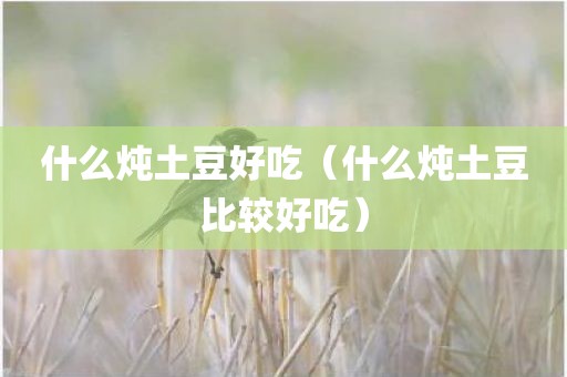 什么炖土豆好吃（什么炖土豆比较好吃）