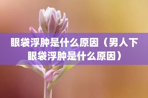 眼袋浮肿是什么原因（男人下眼袋浮肿是什么原因）