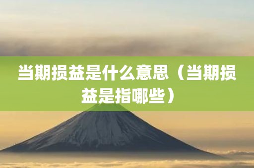 当期损益是什么意思（当期损益是指哪些）