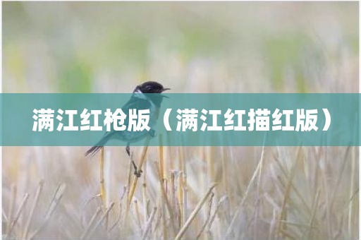 满江红枪版（满江红描红版）