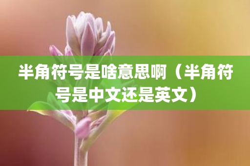 半角符号是啥意思啊（半角符号是中文还是英文）
