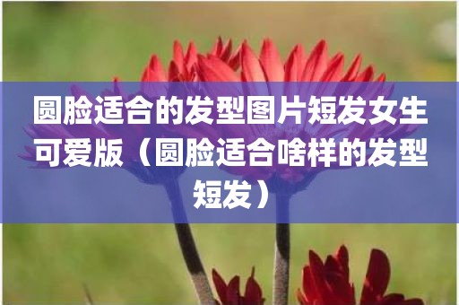 圆脸适合的发型图片短发女生可爱版（圆脸适合啥样的发型短发）