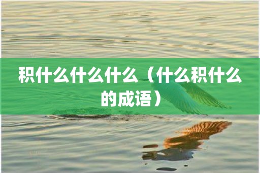 积什么什么什么（什么积什么的成语）