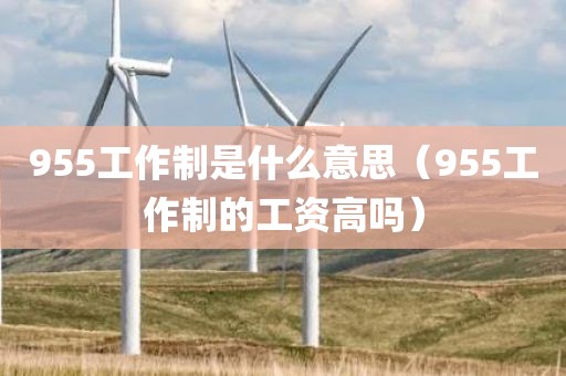 955工作制是什么意思（955工作制的工资高吗）
