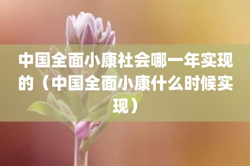中国全面小康社会哪一年实现的（中国全面小康什么时候实现）