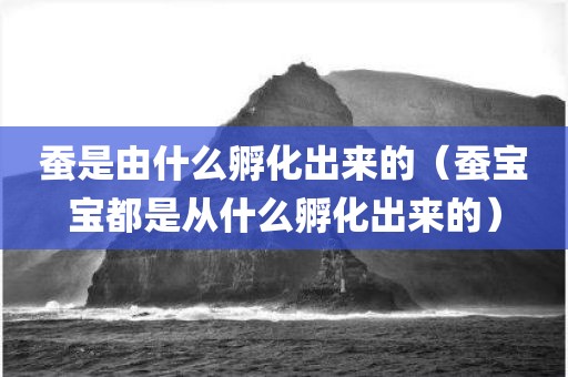 蚕是由什么孵化出来的（蚕宝宝都是从什么孵化出来的）
