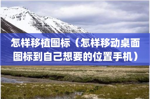 怎样移植图标（怎样移动桌面图标到自己想要的位置手机）