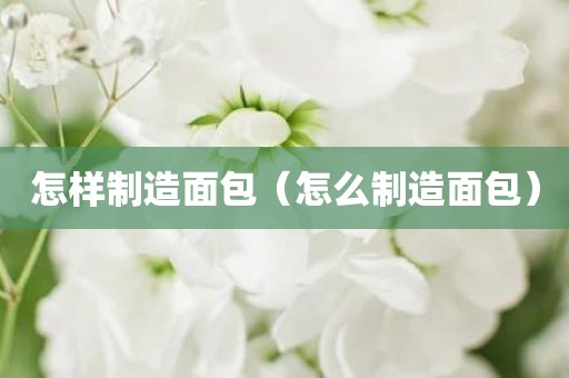 怎样制造面包（怎么制造面包）