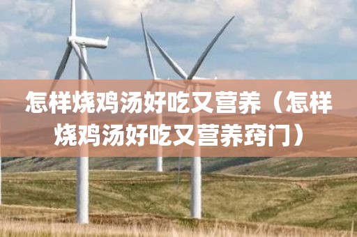 怎样烧鸡汤好吃又营养（怎样烧鸡汤好吃又营养窍门）