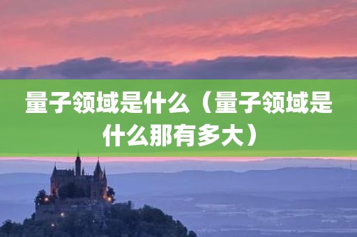 量子领域是什么（量子领域是什么那有多大）