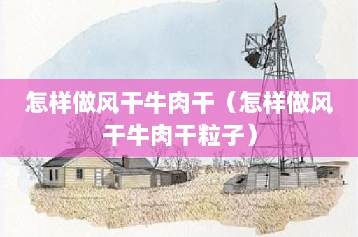 怎样做风干牛肉干（怎样做风干牛肉干粒子）