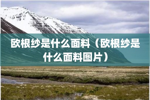 欧根纱是什么面料（欧根纱是什么面料图片）