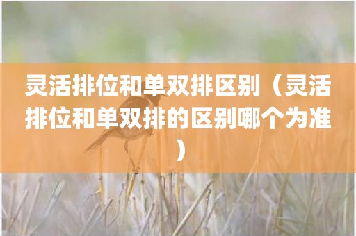 灵活排位和单双排区别（灵活排位和单双排的区别哪个为准）