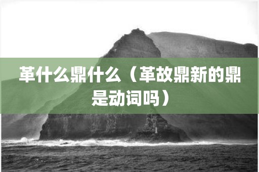 革什么鼎什么（革故鼎新的鼎是动词吗）