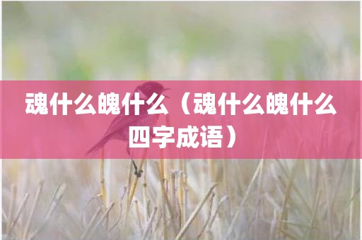 魂什么魄什么（魂什么魄什么四字成语）