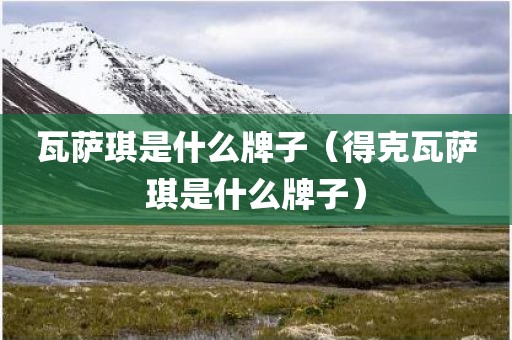 瓦萨琪是什么牌子（得克瓦萨琪是什么牌子）