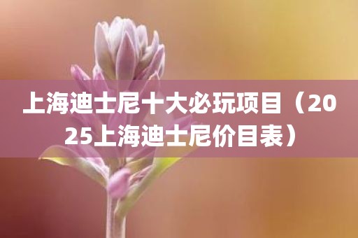 上海迪士尼十大必玩项目（2025上海迪士尼价目表）
