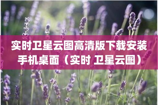 实时卫星云图高清版下载安装手机桌面（实时 卫星云图）