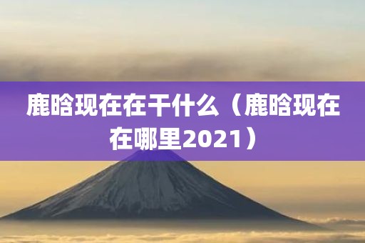 鹿晗现在在干什么（鹿晗现在在哪里2021）