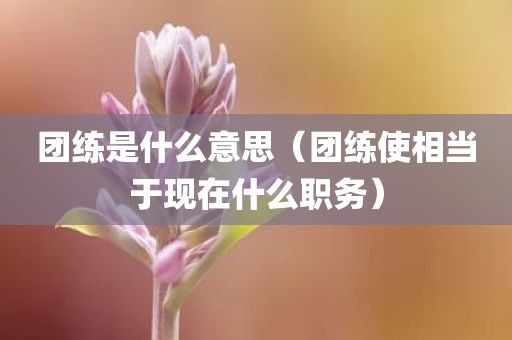 团练是什么意思(团练使相当于现在什么职务)